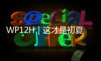 WP12H｜这才是初夏的正确打开方式！