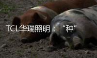 TCL华瑞照明
：“种”一片翠绿	，让生活和工作更添生机