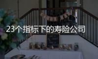 23个指标下的寿险公司画像比拼：哪家综合实力居末席？哪家赔付更快？｜透视金融业年报⓽