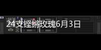 24支铿锵玫瑰6月3日珠海开战	！老将新秀齐上阵