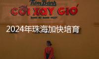 2024年珠海加快培育新质生产力，高技术制造业增加值同比增长15％