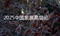 2025中国发展高层论坛
：真诚欢迎国际资本回归中国