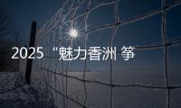 2025“魅力香洲 筝的爱你”风筝会在海天公园沙滩举办，大湾区7支风筝队展风采
