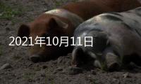 2021年10月11日，外交部新闻发言人赵立坚主持例行记者会答问澳门月刊记者