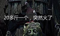 20多斤一个，突然火了！杭州一菜场摊主：没有现货
，隔两天就有人来预订