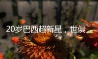 快排公司十年历程，霸屏兔 seo 的崛起与坚守