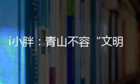 i小胖：青山不容“文明之垢”