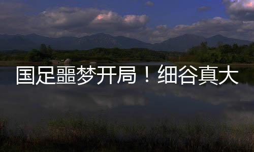 当时以1比2的波战比分失利