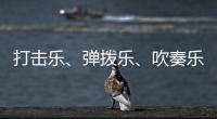 打击乐、弹拨乐、吹奏乐	、拉弦乐	，中国各类民族乐器入门难度如何