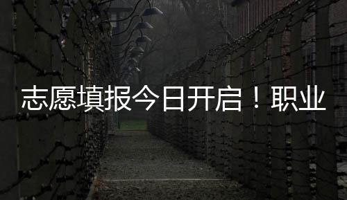 许多职业本科院校表现亮眼